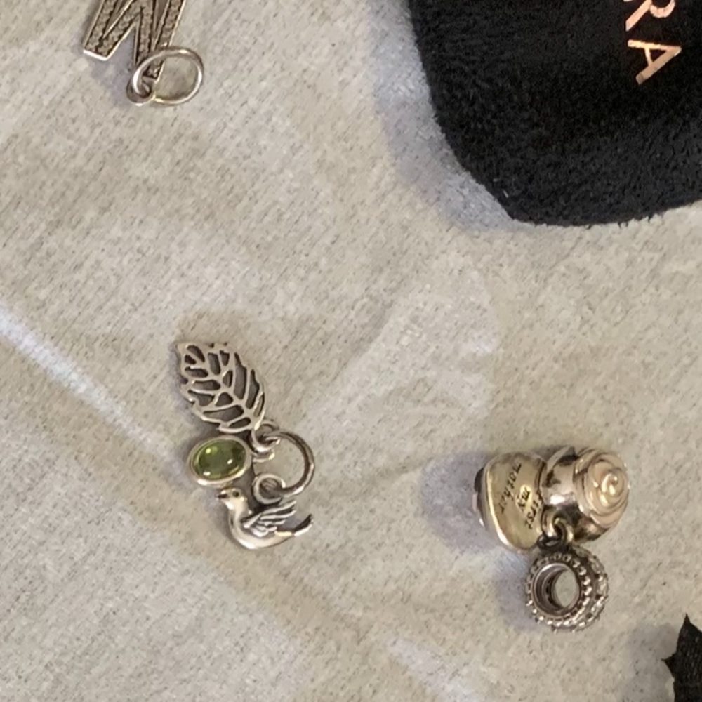 Pandora Atlantic Dangle charm bracelet - Picture 8 of 8